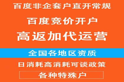 百度竞价推广案例：打造高效营销策略